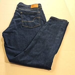 NWT Signature Levi Strauss High Rise Skinny Jean Size 16